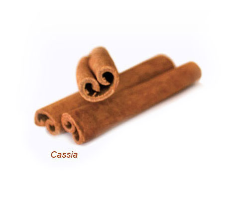 Identify Cassia